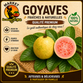 Goyave Fraîche - Fruit Exotique
