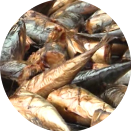 Poisson Fumé Apolo - Qualité Premium