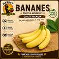 Fresh Bananas - Tropical Fruit