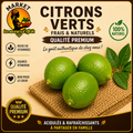 Citrons Verts - Agrumes Frais