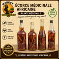 Écorce Médicinale Africaine