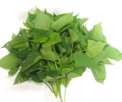 Feuilles de Manioc - Légume Vert Africain
