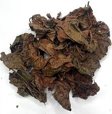 Feuilles de Djeka - Plante Médicinale Traditionnelle