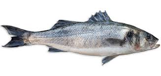 Bar - Poisson Africain