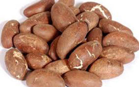 Petit Cola - Stimulant Naturel Africain