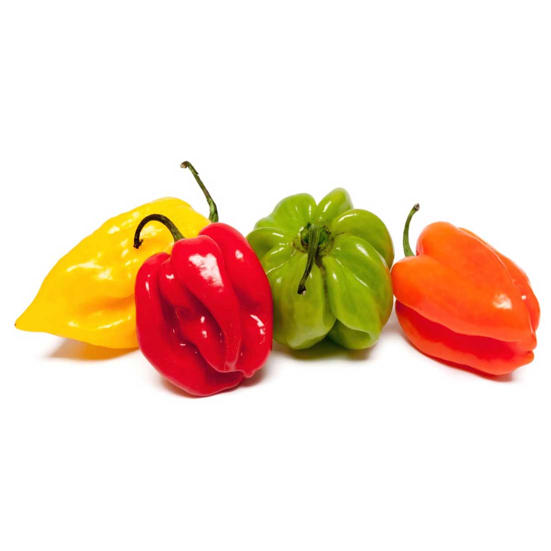 Piment Vert Africain - Piquant Frais