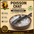 Poisson Chat