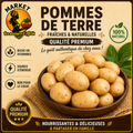 Pommes de Terre - Légume Frais