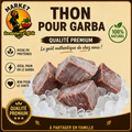 Thon pour Garba