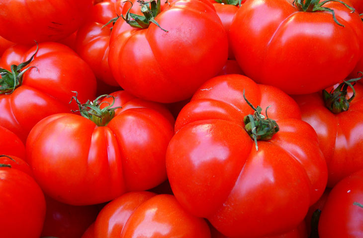 Tomates Fraîches - Légume Essentiel